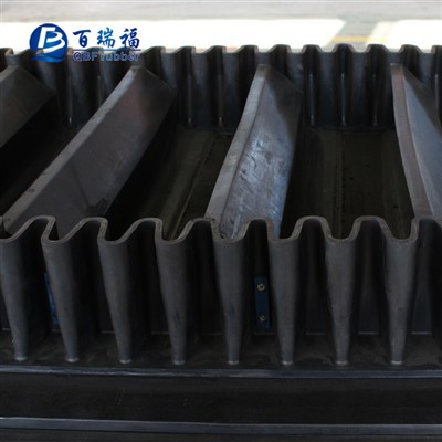 حزام ناقل قاعدة الحزام